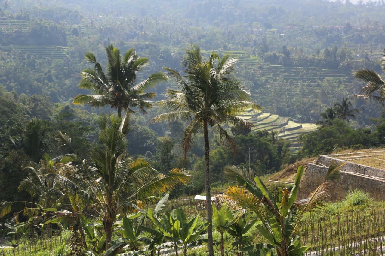 Pondok Plantation Luxury Mountain Escape Bedugul Bedugul  Exteriör bild