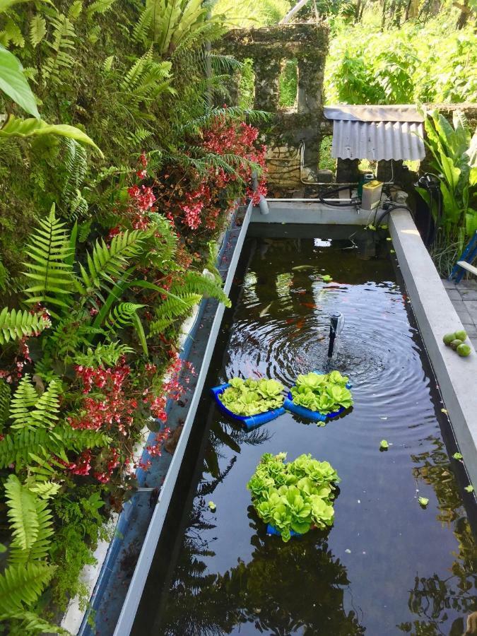 Pondok Plantation Luxury Mountain Escape Bedugul Bedugul  Exteriör bild