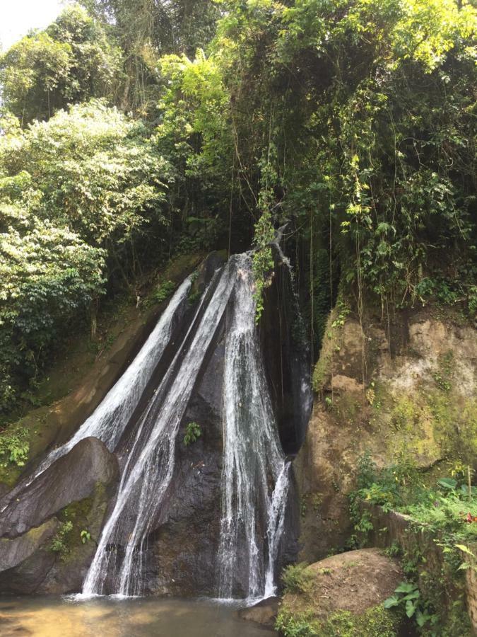 Pondok Plantation Luxury Mountain Escape Bedugul Bedugul  Exteriör bild