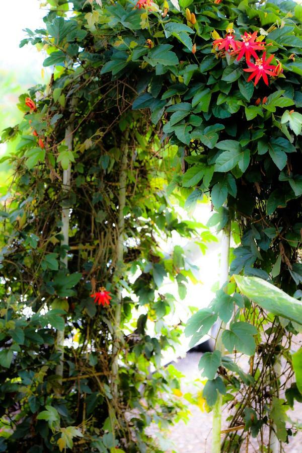 Pondok Plantation Luxury Mountain Escape Bedugul Bedugul  Exteriör bild