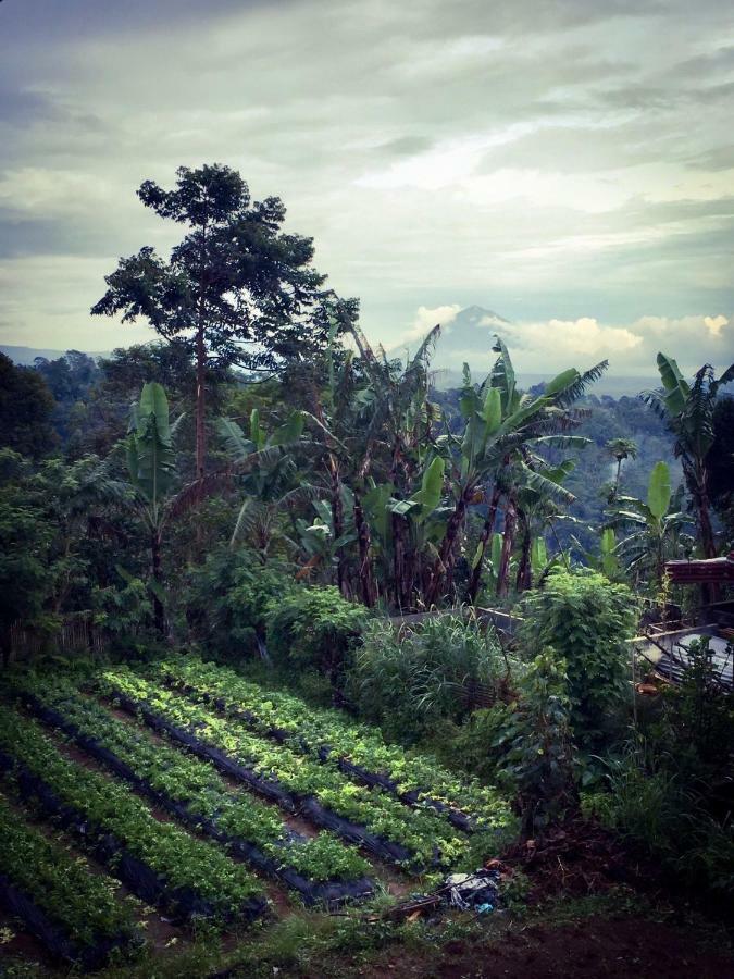 Pondok Plantation Luxury Mountain Escape Bedugul Bedugul  Exteriör bild